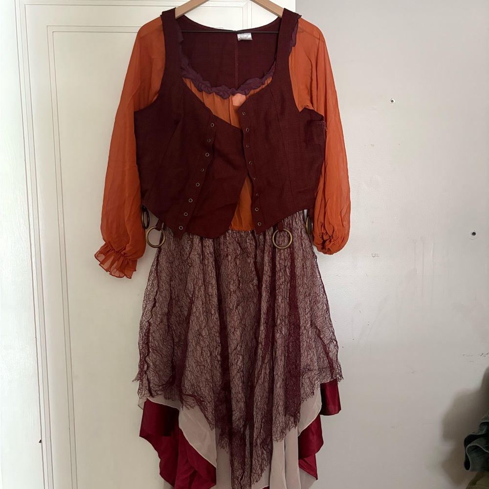 Hocus Pocus Sanderson Sisters Costumes - Picture 4 of 11
